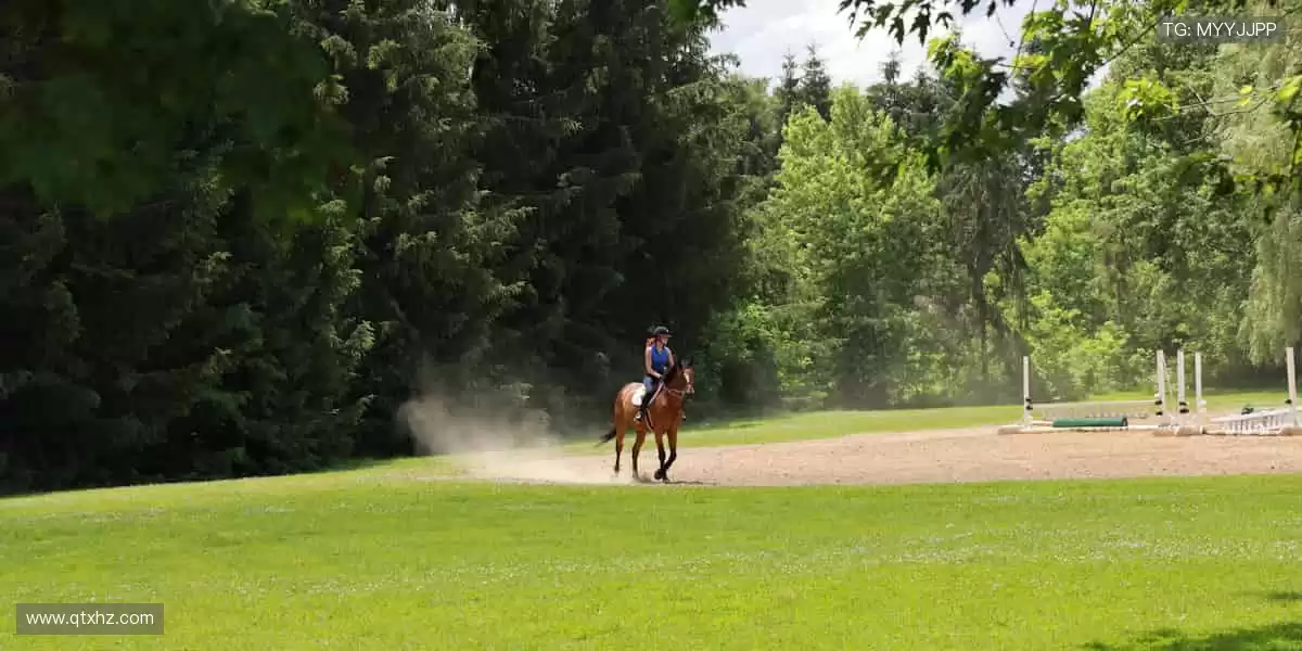 汗水与荣耀同在，见证冠军诞生的瞬间！⚽